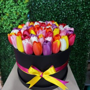 ALEGRE AMOR... TULIPANES