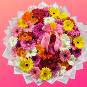RAMO ELEGANTE  DE 50 GERBERAS